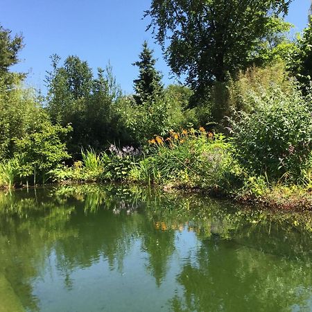 Huisje De Geluksvogel Zorgvlied Экстерьер фото