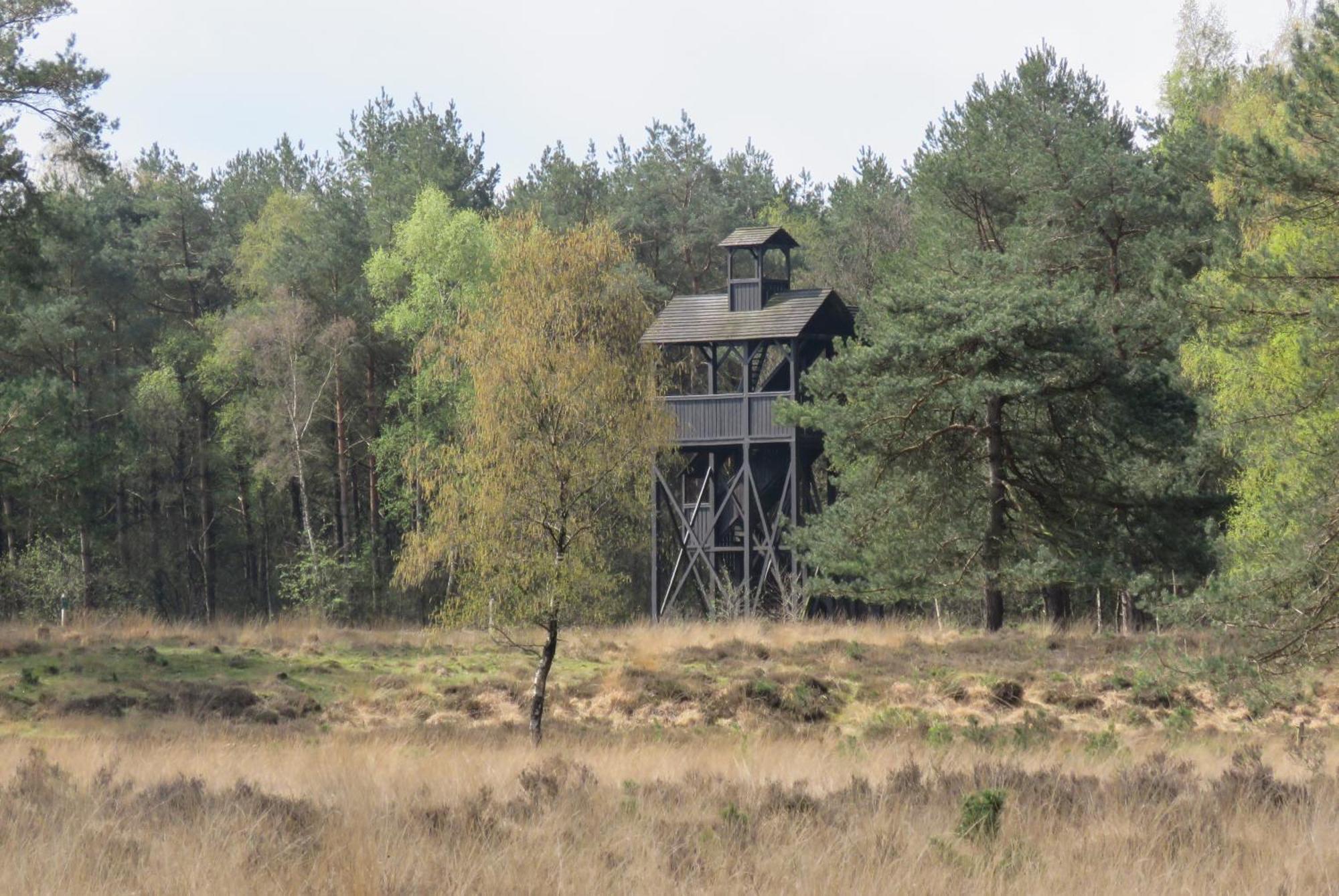 Huisje De Geluksvogel Zorgvlied Экстерьер фото