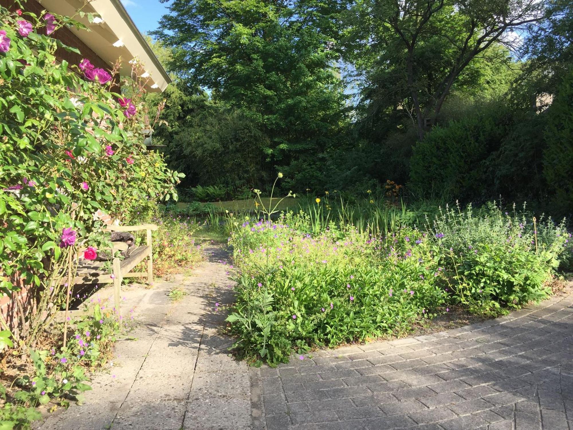 Huisje De Geluksvogel Zorgvlied Экстерьер фото